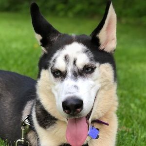 Meet your Posher, Max